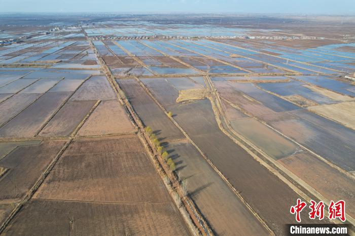 宁夏引黄灌区冬灌有序展开 11月13日,记者航拍宁夏石嘴山市平罗县通伏乡农田冬灌。 于晶 摄