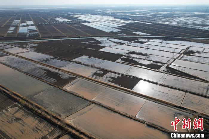 宁夏引黄灌区冬灌有序展开 11月13日,记者航拍宁夏石嘴山市平罗县通伏乡农田冬灌。 于晶 摄