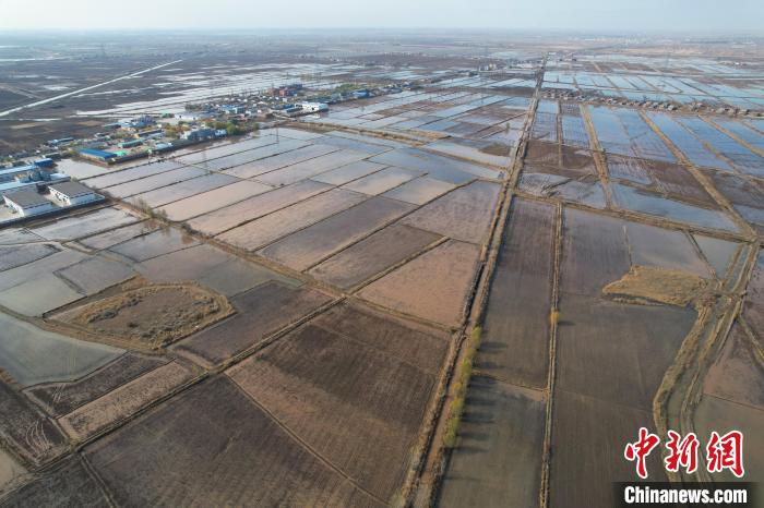 宁夏引黄灌区冬灌有序展开 11月13日,记者航拍宁夏石嘴山市平罗县通伏乡农田冬灌。 于晶 摄