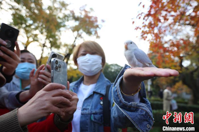 事无巨细精致养宠 宠物经济走向纵深
