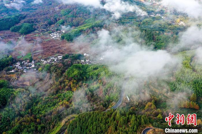 在安徽省黄山市黟县宏村镇拍摄的云雾缭绕的山村美景。(无人机照片) 施亚磊 摄