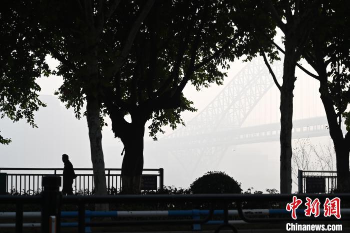朝天门长江大桥被大雾笼罩。　陈超 摄