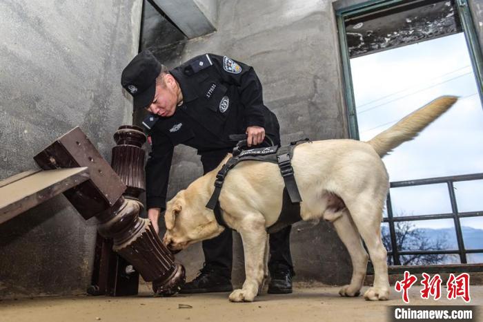 警犬训导员对警犬进行缉毒查爆训练 韩秉儒 摄