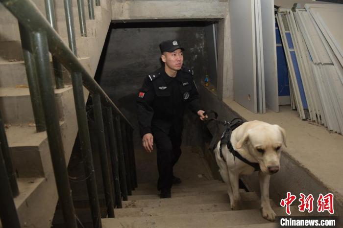 警犬训导员对警犬进行缉毒查爆训练 韩秉儒 摄