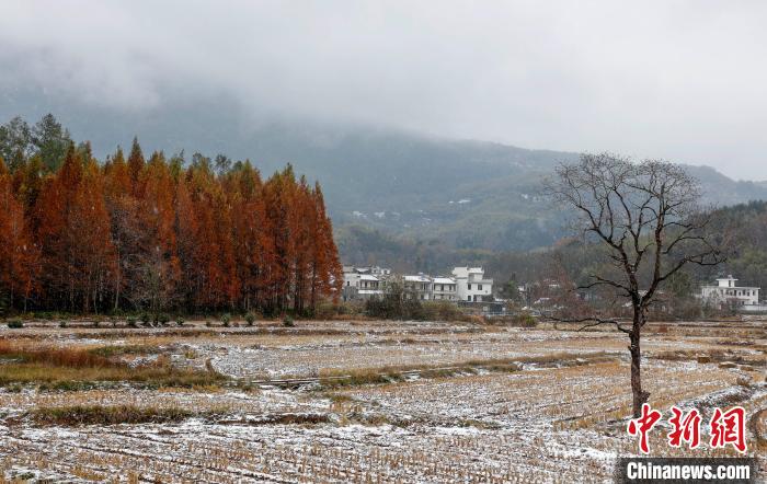 在安徽省黟县宏村风景区拍摄的银装素裹的雪景。　施亚磊 摄