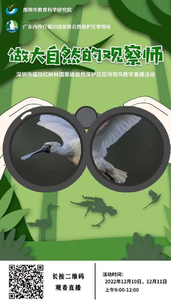 深圳市福田区红树林国家级自然保护区现场观鸟教学直播活动举办