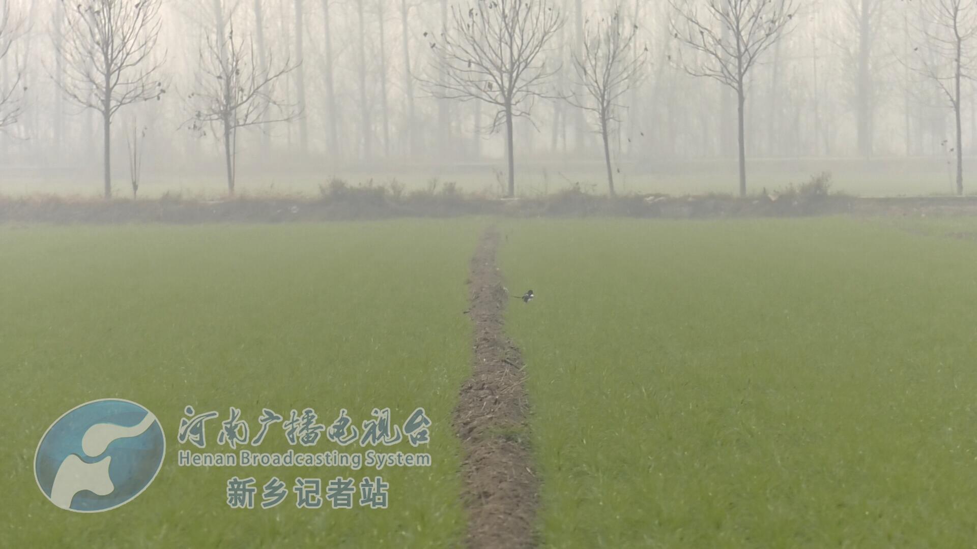 获嘉:开展农田基础设施建设,夯实粮食丰产根基