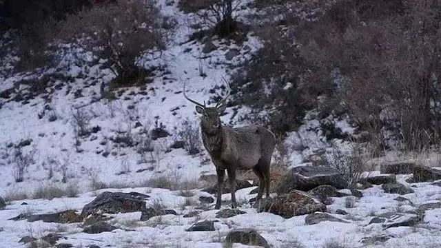 护一座山 守一片绿