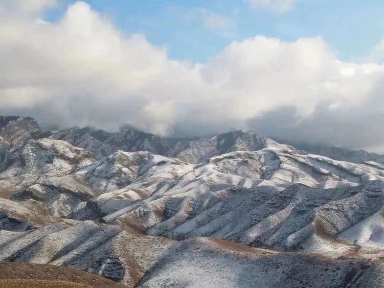 护一座山 守一片绿