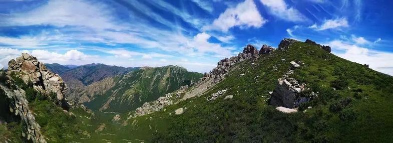 护一座山 守一片绿