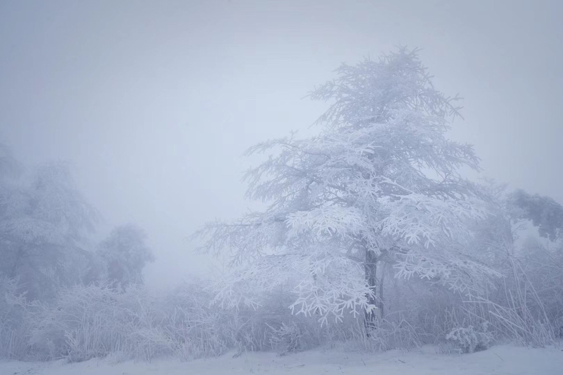 宁波2023年第一场雪什么时候来？气象台消息来了