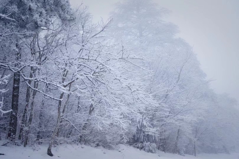 宁波2023年第一场雪什么时候来？气象台消息来了