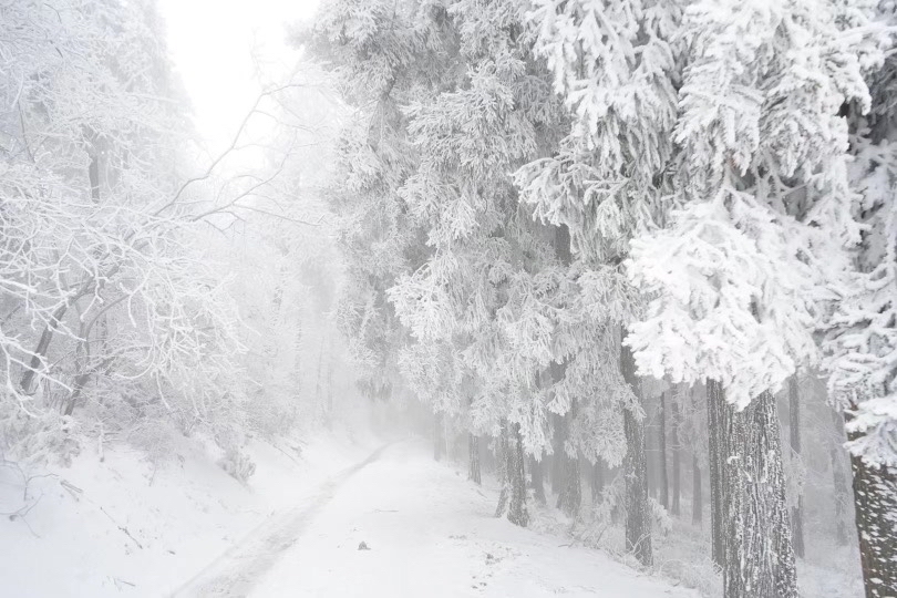 宁波2023年第一场雪什么时候来？气象台消息来了