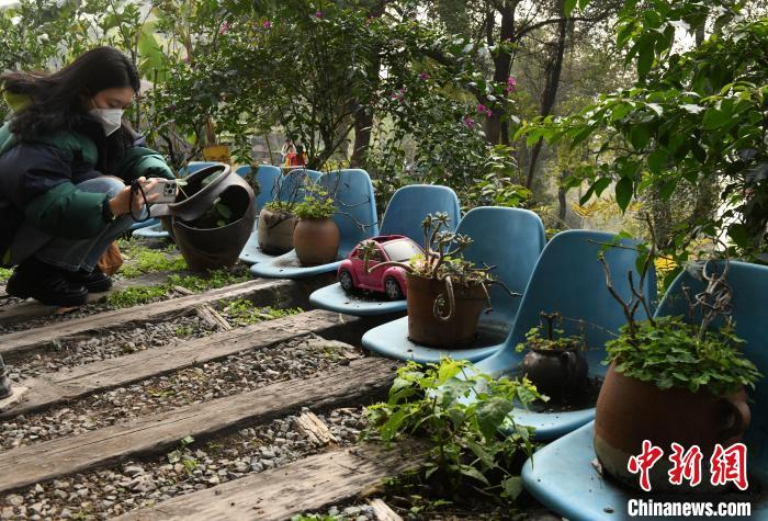 废旧座椅打造的庭院吸引市民驻足拍照。　周毅 摄