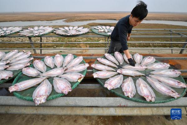 湖南岳阳：特色风干鱼供应市场