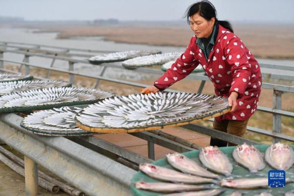 湖南岳阳：特色风干鱼供应市场