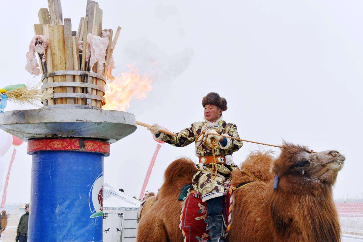 甘肃肃北举行骆驼文化交流活动