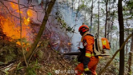愿平安！广西兴安森林火灾仍在扑救