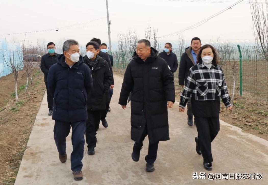河南省委咨询组研究员张占仓一行到李寨村调研指导乡村振兴工作