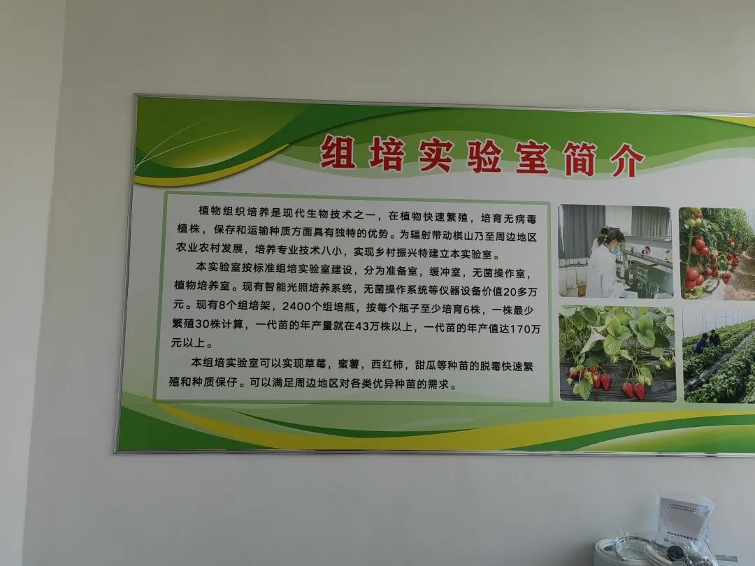 莱职:组培实验室建在田间地头 打通教育赋能乡村振兴“最后一公里”