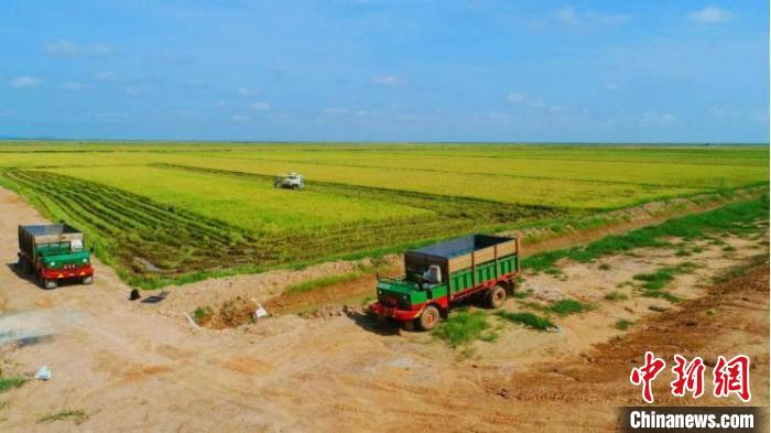 广西加强与柬埔寨合作：重大项目建设提速 经贸往来活跃