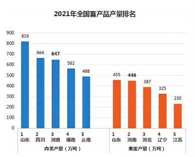 农业强国建设中的河南作为