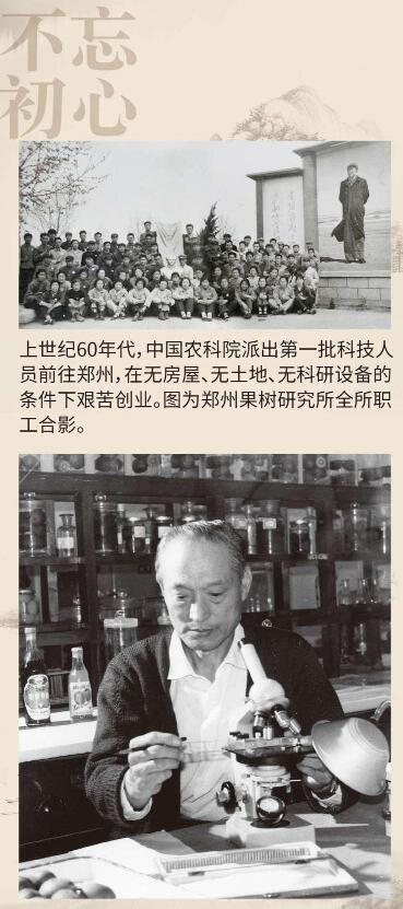 黄河故道梨花开 农科精神代代传