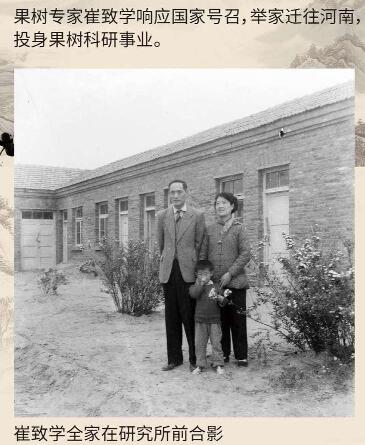 黄河故道梨花开 农科精神代代传