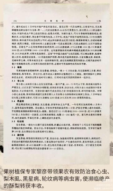 黄河故道梨花开 农科精神代代传