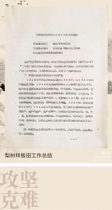 黄河故道梨花开 农科精神代代传