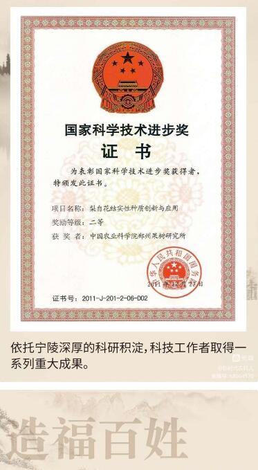 黄河故道梨花开 农科精神代代传