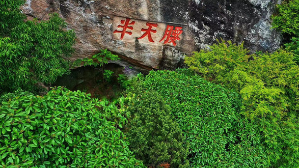 八闽文脉·史迹 | 镌刻在丹崖之上的武夷茶文化