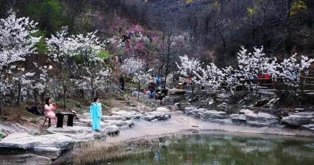 跟着旅发大会游山东 | “樱”你而来，美！