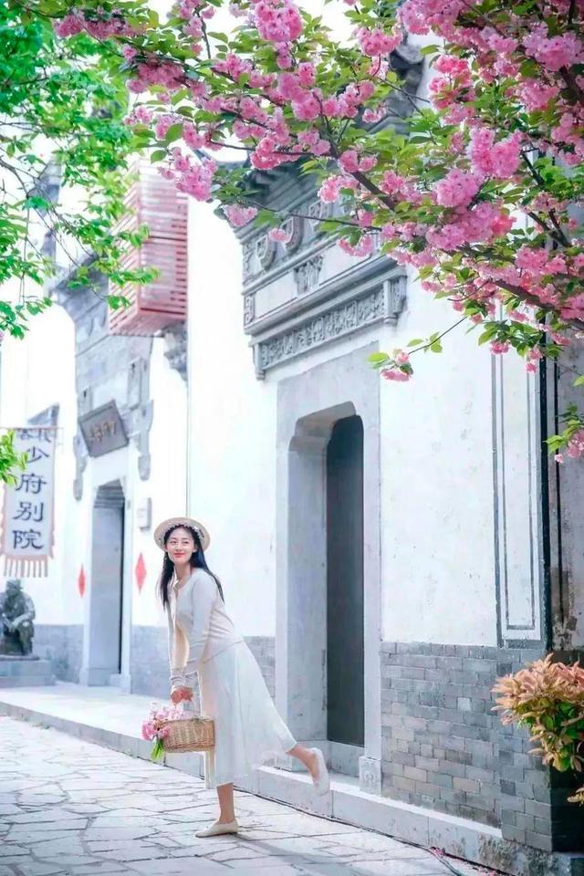 跟着旅发大会游山东 | “樱”你而来，美！