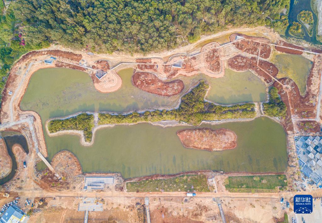 新华全媒+丨海南儋州：新建湿地公园 加快水系连通及水美乡村建设