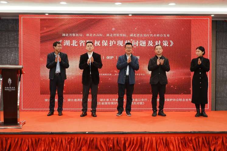 《湖北省版权保护现状、问题及对策》报告在武汉发布
