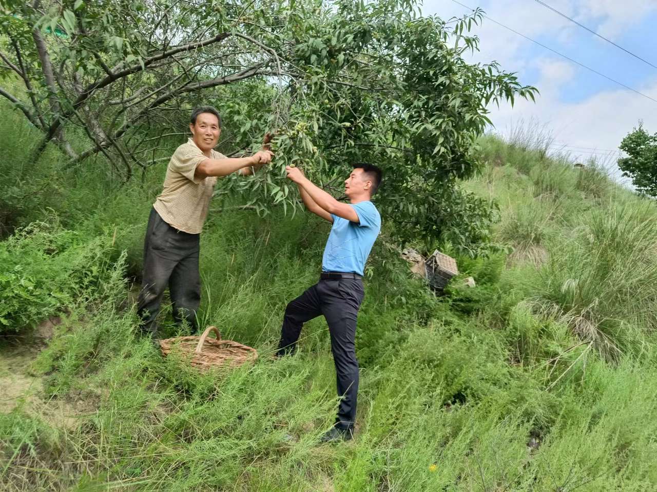 我和我的村丨人人都在为更美好的生活忙碌