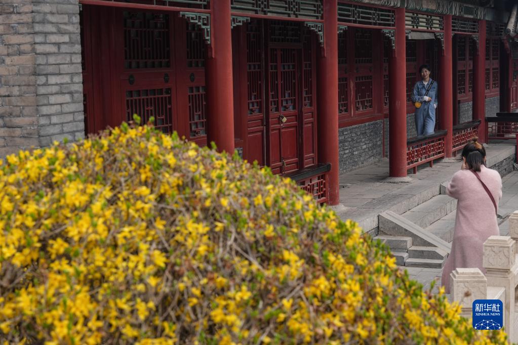 沈阳故宫 花开引游人