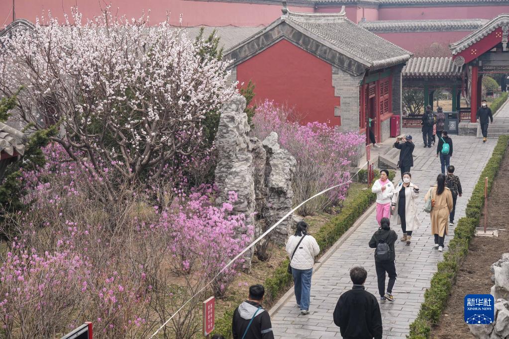 沈阳故宫 花开引游人