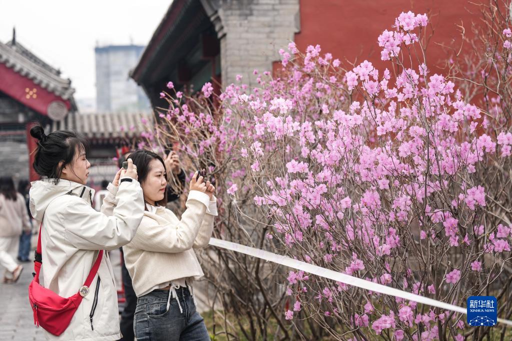 沈阳故宫 花开引游人