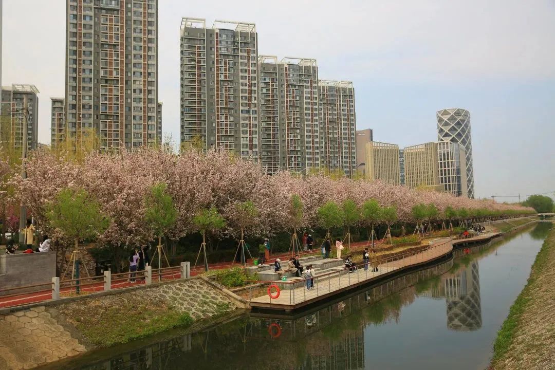 打卡望京海棠花溪，你要的诗和远方就在这里
