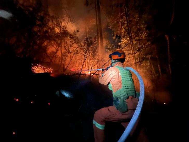 四川凉山森林火灾明火已全部扑灭 未造成人员伤亡和次生灾害
