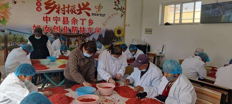 我和我的村丨班子强了 车间旺了