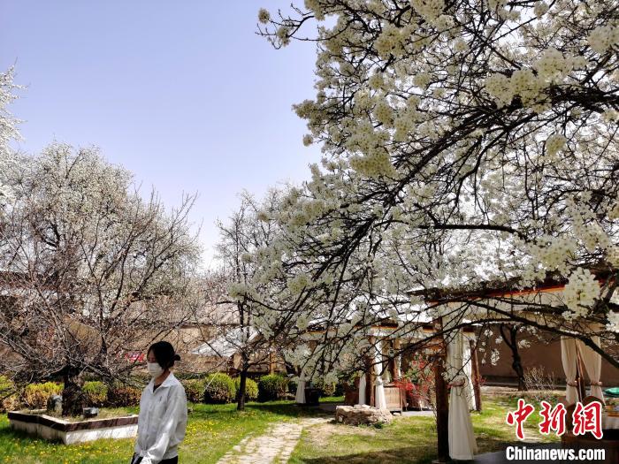 高原小城尖扎打造“青海民宿第一县”：向春而行，美美与共