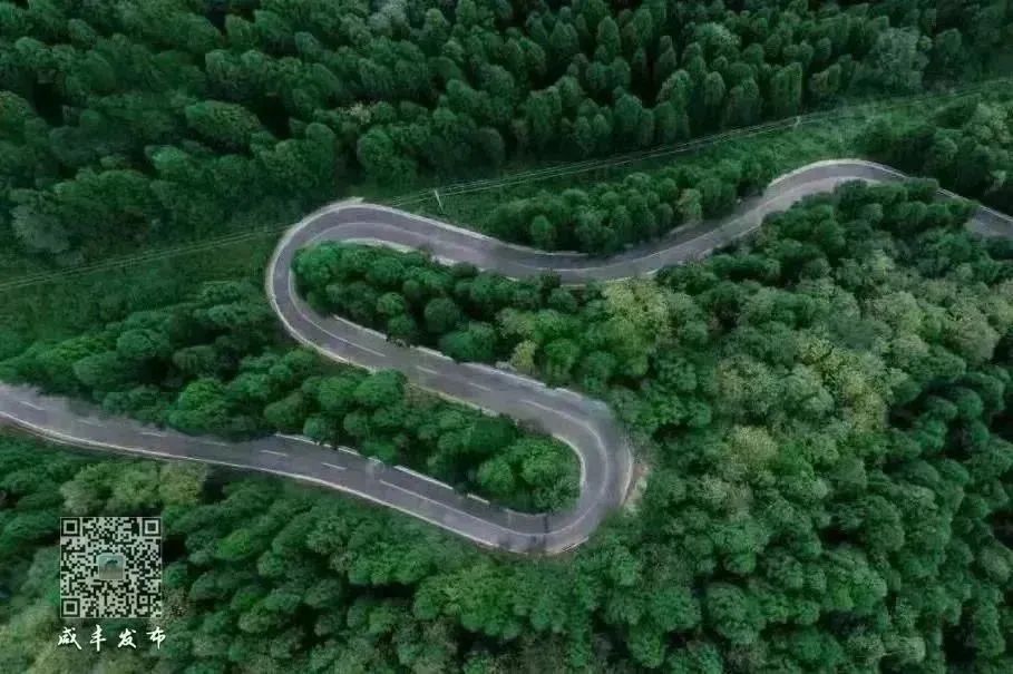 刚刚,2023首届湖北恩施·咸丰森林马拉松燃情开跑!