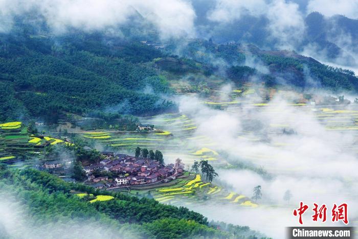 浙江乡村观察:“双碳”实践如何促农增收致富?