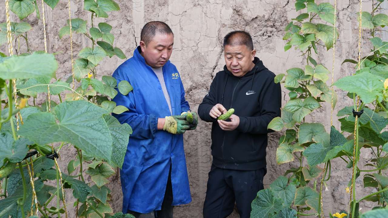 我和我的村丨好想法都“变现”了