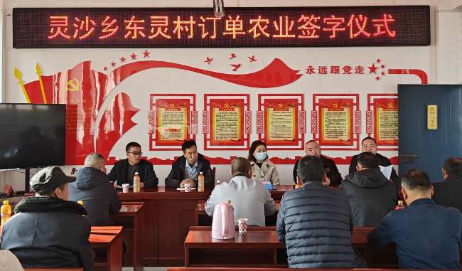 我和我的村丨村民增收，我乐开了花