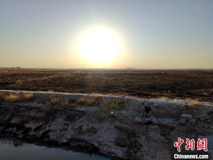 黑龙江：“表土剥离”保护“耕地中的大熊猫”