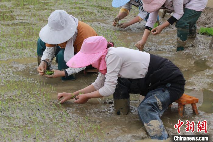 贵州：谷雨时节农事忙